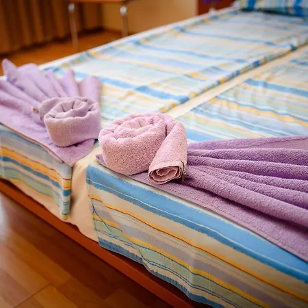 Sea View Iglika 2* Złote Piaski